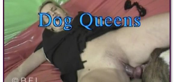 077 - Dog Queens