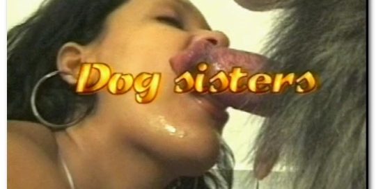 078 - Dog Sisters