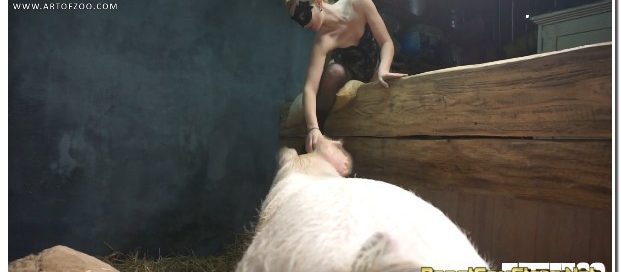 14 - Wild Boar Fucks A Girl - Sex With Pigs