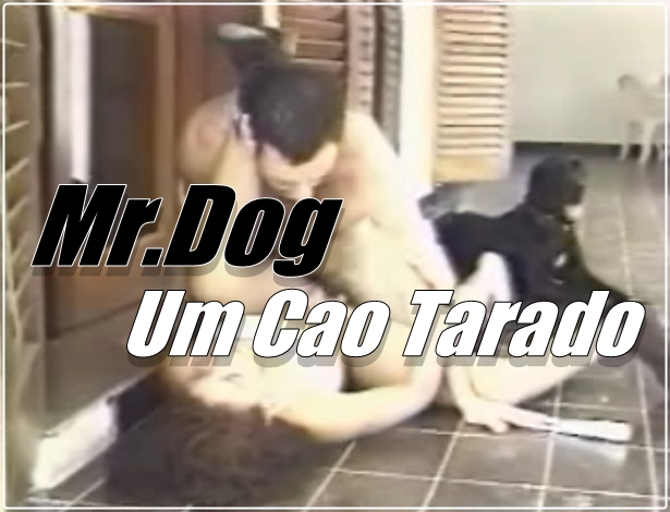 Mr.Dog - Um Cao Tarado