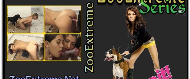 ZooExtreme Serie 66