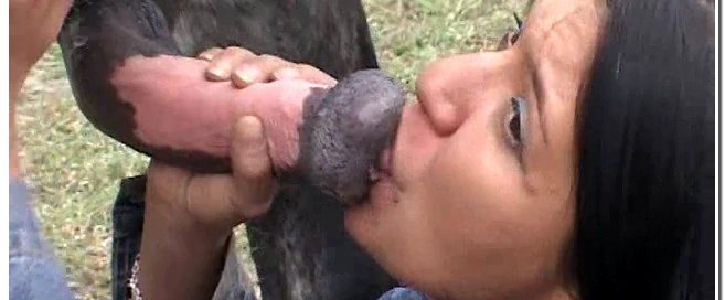 Horse Sex Movie8