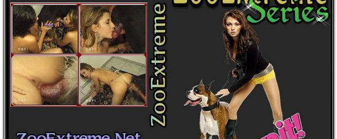 ZooExtreme Serie 67