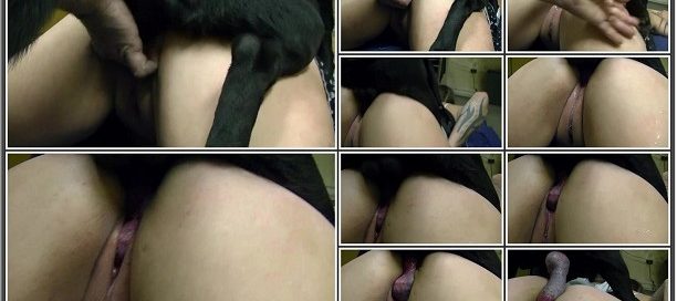 040 - Smart Bestiality Porn Scene