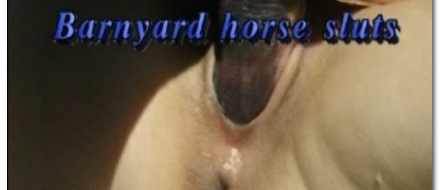 BFI - Barnyard Horse Sluts