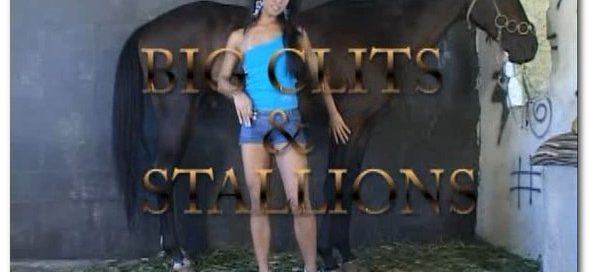 BFI - Big Clits and Stallions