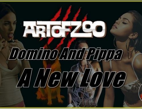 ArtOfZoo.Com – Domino And Pippa – A New Love