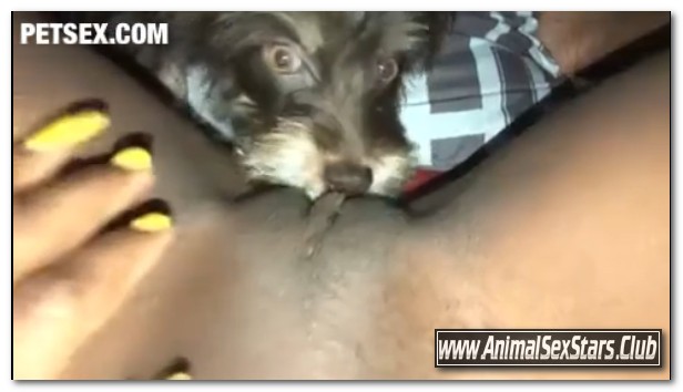 Amateur ZooSex - Part 2 Puppy Eats Me On My Period