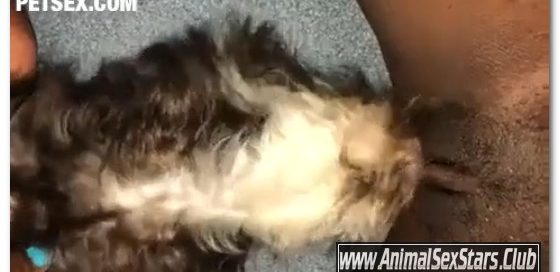 Amateur ZooSex - Puppies Love Pussy