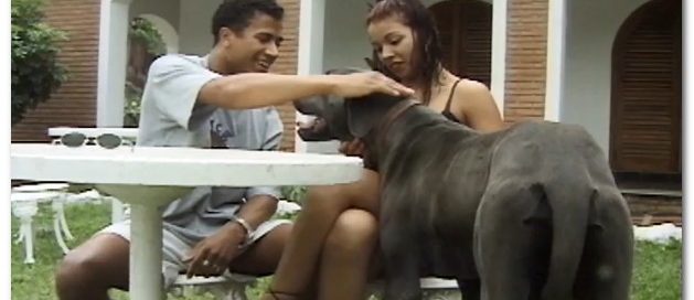 Girls Like Dog And Man Cock