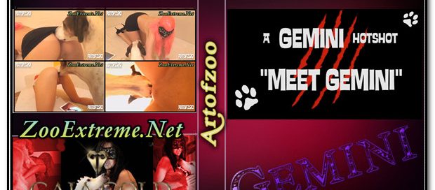 ArtOfZoo DVD - Gemini - Hot Scenes Zoo Porn